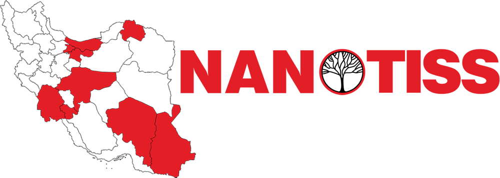 نمایندگی های نانوتیس در ایران