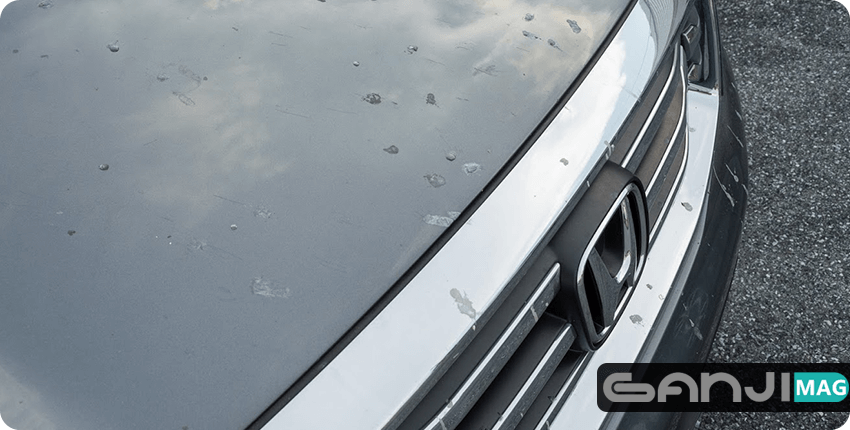 اثر شیره درختان بر بدنه خودرو